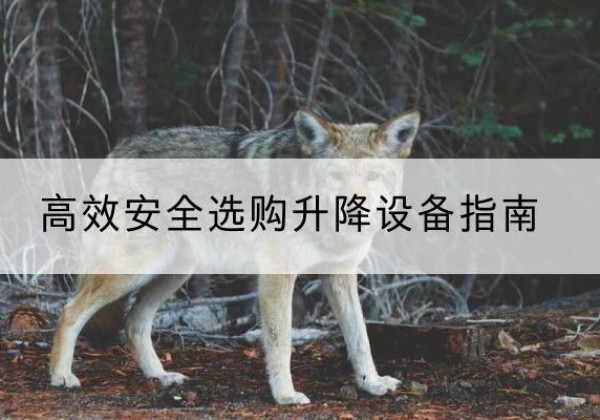 雨花台升降货梯厂家推荐-*安全选购升降设备指南