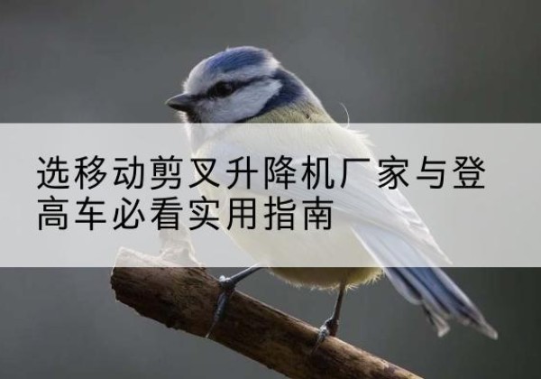 雨花台电动升降机厂家-选移动剪叉升降机厂家与登高车必看实用指南