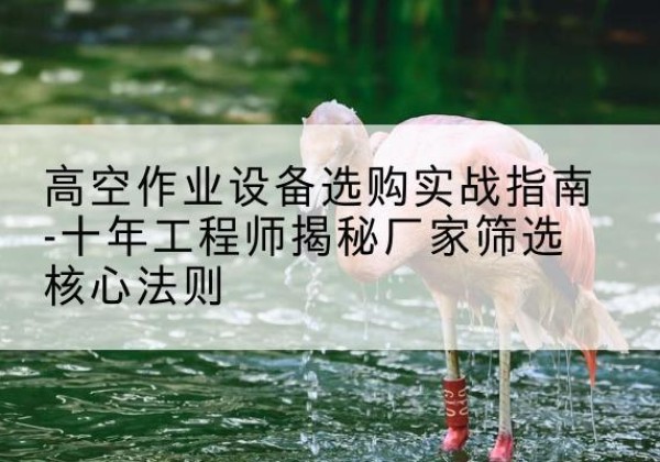 雨花台剪叉式升降机厂家-高空作业设备选购实战指南-十年工程师揭秘厂家筛选核心法则